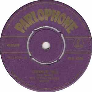 Download The Vipers Skiffle Group - Streamline Train