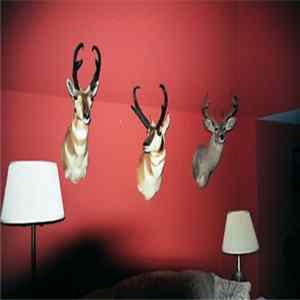 Download Celer - Melancholy And Resistance