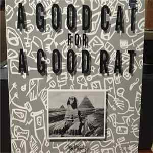 Download Andrew Frost - A Good Cat For A Good Rat