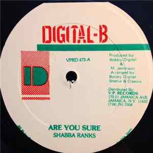 Download Shabba Ranks - Are You Sure
