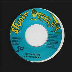 Download Callie B, Zerock - Skylarking
