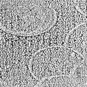 Download The Haters / Sissy Spacek - Geo-Numeric