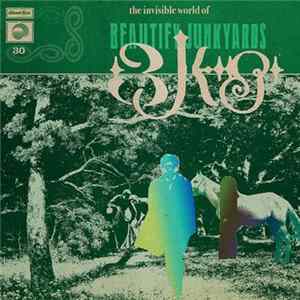 Download Beautify Junkyards - The Invisible World Of Beautify Junkyards