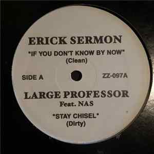 Download Erick Sermon / Large Professor - If You Don't Know Me By Now / Stay Chisel / In The Sun / On