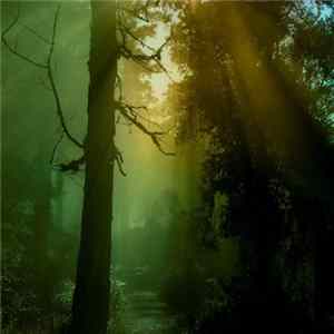 Download Various - Weltanschauung
