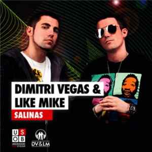 Download Dimitri Vegas & Like Mike - Salinas