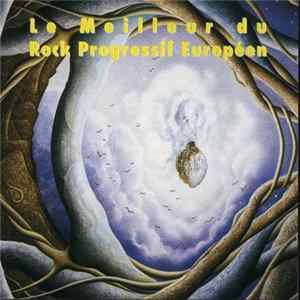 Download Various - Le Meilleur Du Rock Progressif Européen