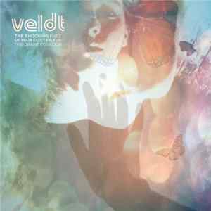 Download Veldt - The Shocking Fuzz Of Your Electric Fur: The Drake Equation