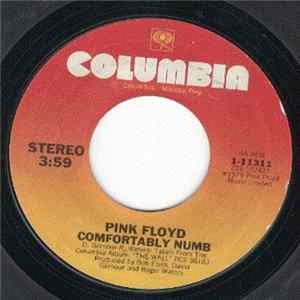 Download Pink Floyd - Comfortably Numb