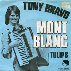 Download Tony Bravo - Mont Blanc