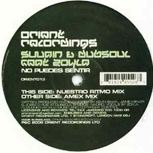 Download Swain & Dubsoul - No Puedes Sentir