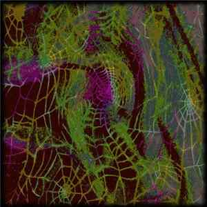 Download Lungrot - Araneae