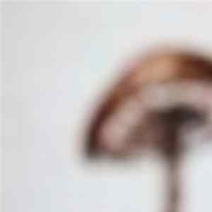 Download Lawrence English - For / Not For John Cage