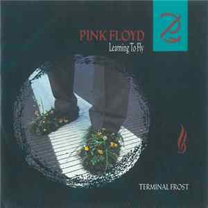 Download Pink Floyd - Learning To Fly / Terminal Frost