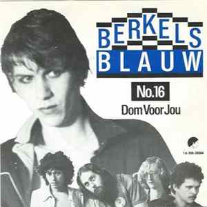 Download Berkels Blauw - No. 16