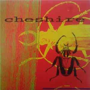 Download Cheshire - Disregard The Hay In My Hand