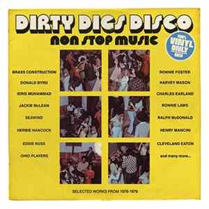 Download Dirty Hairy - Dirty Digs Disco