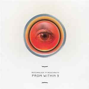 Download Pete Namlook (+) Richie Hawtin - From Within 3