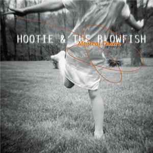 Download Hootie & The Blowfish - Musical Chairs