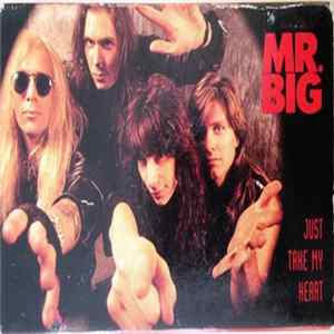 Download Mr. Big - Just Take My Heart