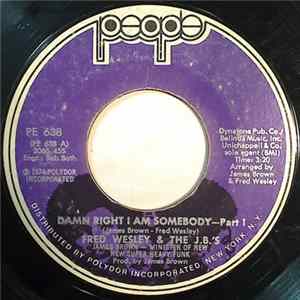Download Fred Wesley & The JB's - Damn Right I Am Somebody