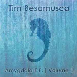 Download Tim Besamusca - Amygdala E.P. | Volume 1