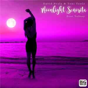 Download David Pryla, Toni Toolz - Moonlight Señorita Ft Telboy