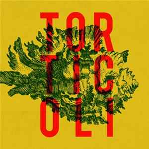 Download Torticoli - Torticoli