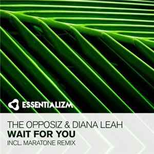 Download The Opposiz & Diana Leah - Wait For You