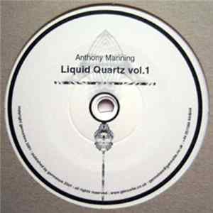 Download Anthony Manning - Liquid Quartz Vol.1