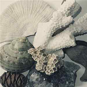 Download Uton / Sunhiilow - Garden & Cosmos