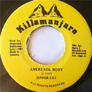 Download Junior Cat - Anerexol Body