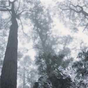 Download A. Wallace - Please Be Free