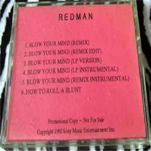 Download Redman - Blow Your Mind
