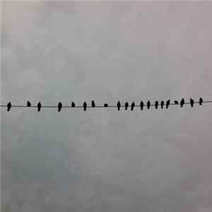 Download Mike McCready - Music For Film