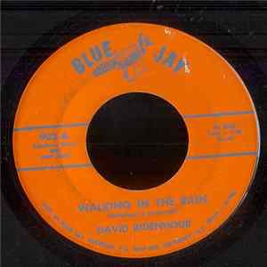 Download David Ridenhour - Walking In The Rain/ Neon Signs And Honky Tonks