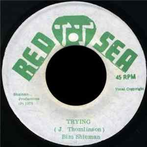 Download Bim Shieman - Trying