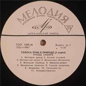 Download No Artist - Голоса Птиц В Природе (4 Серия) Птицы Сибири