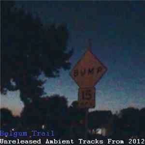 Download Belgum Trail - Unreleased Ambient Tracks From 2012