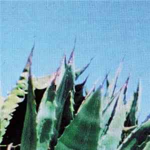 Download S Olbricht - Purpleblue