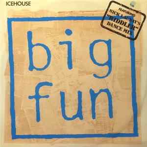 Download Icehouse - Big Fun