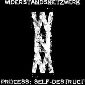 Download Widerstandsnetzwerk - Process: Self-Destruct