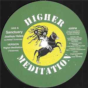 Download Joshua Hales - Sanctuary / Chant Down Babylon