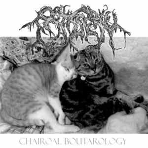 Download Patisserie - Chairoal Boutarology