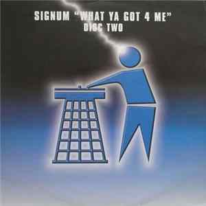 Download Signum - What Ya Got 4 Me