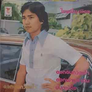 Download ชรัมภ์ เทพชัย - ดอกดินถวิลฟ้า