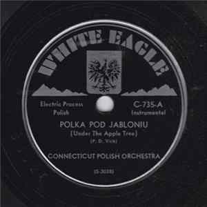 Download Connecticut Polish Orchestra - Polka Pod Jabloniu / Polka Jutka