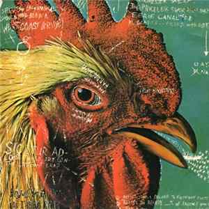 Download Pavement - Watery, Domestic
