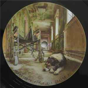 Download Owen - Neurotrope 038