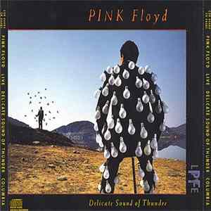 Download Pink Floyd - Delicate Sound Of Thunder